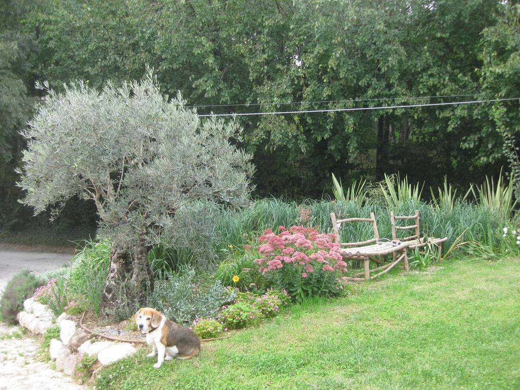 Agriturismo Campagnoletto Cavriana Exteriér fotografie