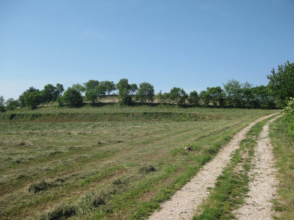 Agriturismo Campagnoletto Cavriana Pokoj fotografie