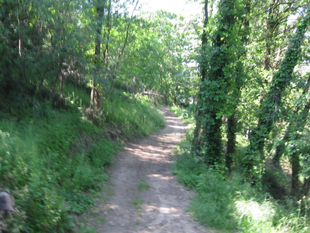 Agriturismo Campagnoletto Cavriana Pokoj fotografie