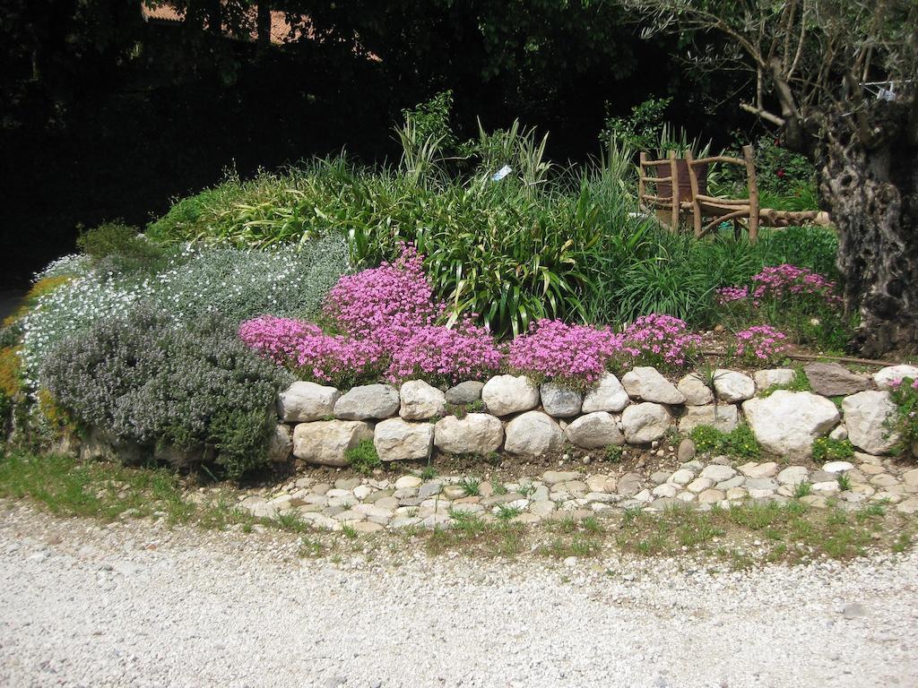 Agriturismo Campagnoletto Cavriana Exteriér fotografie