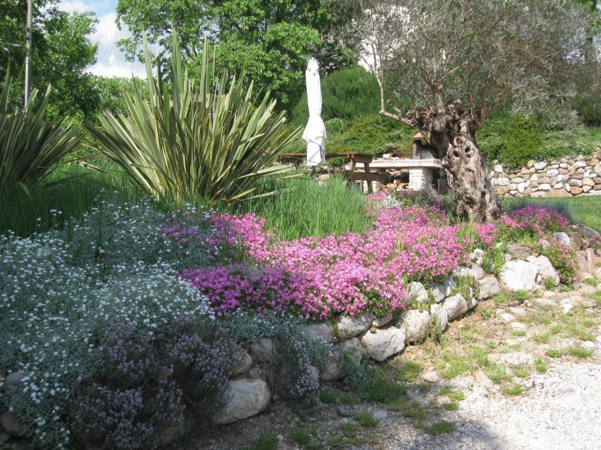 Agriturismo Campagnoletto Cavriana Exteriér fotografie